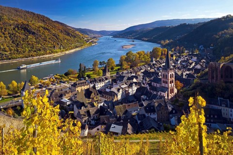 Autumn view of Bacharach on the Rhine with St. Peter's Church, UNESCO World Heritage Upper Middle