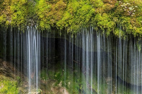 Moss-covered rocks and waterfall, Wutach Gorge, Bonndorf, Baden-Württemberg, Black Forest, Germany,