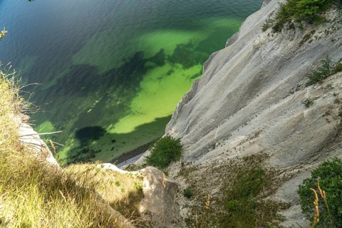 Cliffs and chalk cliffs Møns Klint, Mön Island, Denmark, Europe