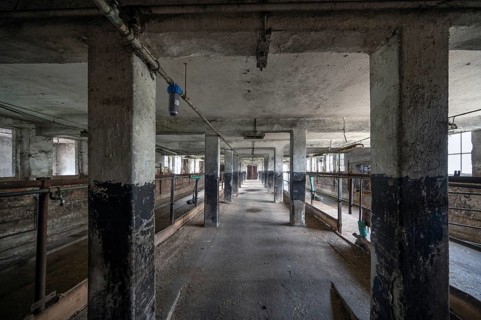 Empty cowshed of a former LPG of the GDR, Mecklenburg-Vorpommern, Germany, Europe