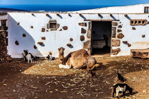 2016, Tiagua, Lanzarote, Farm Museum El Patio, Tiagua, ESP, Spain, Canary Islands, Canary Islands,