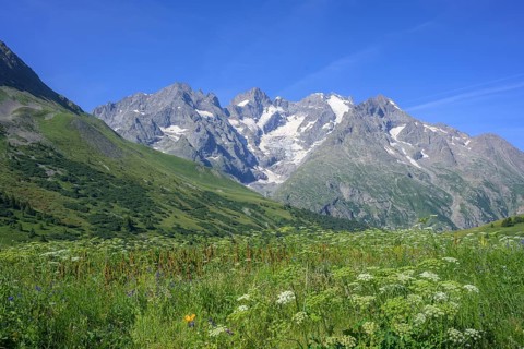 Pointe Piaget and La Meije seen from the botanical garden Jardin du Lautaret, Villar-d'Arêne,