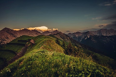 Hiking tour on the Hönig mountain in the Lechtal valley near Berwang in Tyrol, Austria, Europe
