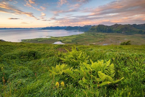 View of the coast and mountains from Mount Hoven, Gimsoy, Lofoten, Norway, Europe