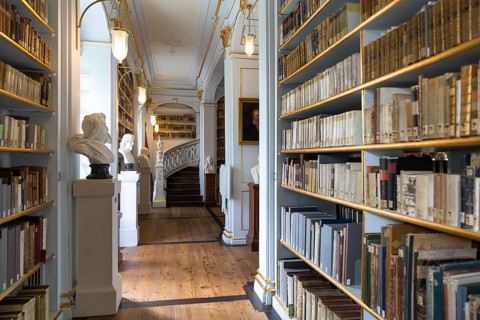 Central Rococo Hall of the Duchess Anna Amalia Library in Weimar, Thuringia, Germany, Europe