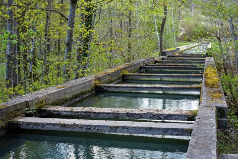 Swabian aqueduct over the Große Lauter in the Lauter valley between Unterwilzingen and Laufenmühle,