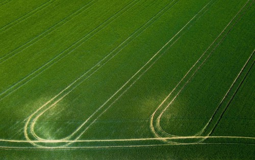 Drone image, grain field with lanes on the field, from above, agriculture, Innviertel, Upper