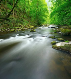 The River Bode with rapids and boulders in the Bode Valley between Thale and Treseburg, Harz