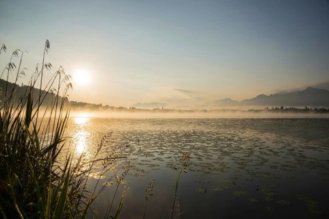 Sunrise, Hopfensee, near Fuessen, Ostallgaeu, Allgaeu, Upper Swabia, Swabia, Bavaria, Germany,