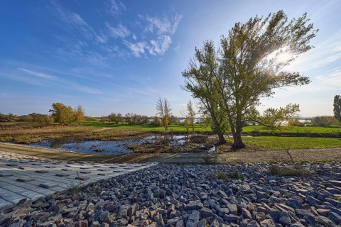 Tree in backlight, blue sky with cumulus clouds and sun, Elbe meadows with dike, Mühlberg Elbe,