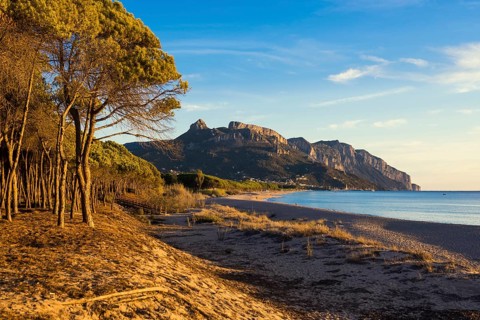 Lonely sandy beach and pine forest, Spiaggia di Isula Manna, sunrise, Santa Maria Navarrese, Gulf