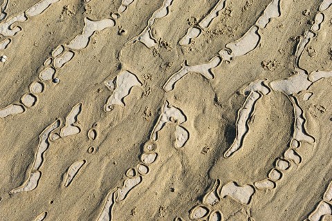 Structured sandy area with undulating natural patterns and shapes, Plage Saint Efflamm,