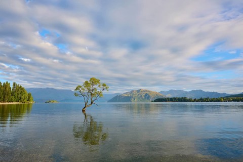 A single tree in the lake with mountains and clouds, shining in a peaceful atmosphere, summer, Lake