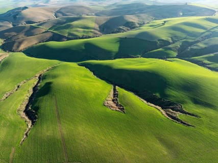Undulated farmland and cracks caused by streams in the Campiña Cordobesa, the fertile rural area