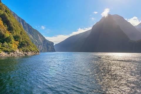 Milford Sound, Fiordland National Park, South Island, New Zealand, Oceania