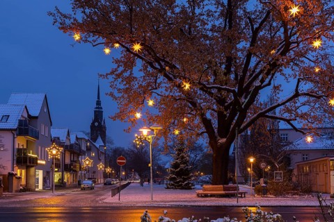Oak tree on the snow-covered Wettinplatz with Herrnhut stars, star tree, in the background the New