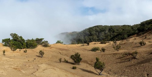 Clouds of fog, yellow earth, erosion, near Arguamul, La Gomera, Canary Islands, Spain, Europe