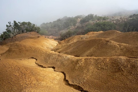 Clouds of fog, yellow earth, erosion, near Arguamul, La Gomera, Canary Islands, Spain, Europe