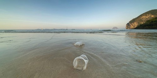 Plastic waste on the beach, Charlie Beach, Koh Mook Island, Andaman Sea, Satun Province, Southern