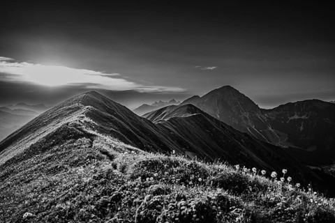 Hiking tour on the Hönig mountain in the Lechtal valley near Berwang in Tyrol, Austria, Europe