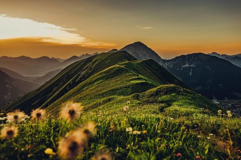Hiking tour on the Hönig mountain in the Lechtal valley near Berwang in Tyrol, Austria, Europe