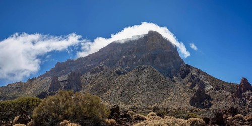 Faded Teide gorse and the summit of Montaña Guajara, also: Alto de Guajara, 2715m, crater walls,
