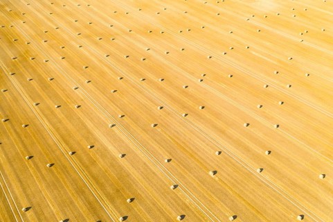 Straw bales on a harvested grain field from above, Nossen, Saxony, Germany, Europe