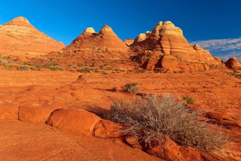 Red sandstone rocks in a desert landscape under a clear blue sky, Coyote Buttes, Arizona, USA,