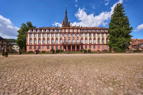 Erbach Castle, trees, cobblestones, blue sky with cumulus clouds, market square, Erbach, Odenwald,