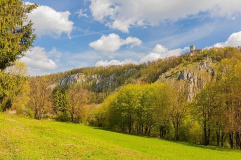 Randeck Castle is the ruin of a hilltop castle at 490 m above sea level on the northern edge of the