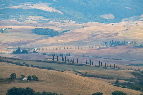 Typical Tuscan landscape in Val d'Orcia with hills, trees, fields, farmhouses and cypresses in