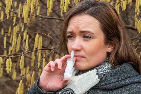 Young Caucasian woman with allergy problem stands by flowering hazel bush and sprays her nose in