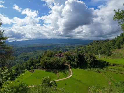 Rice fields, rice terraces, landscape near Limbong, Tana Toraja, Sulawesi, Indonesia, Asia