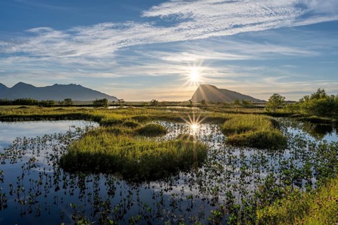Pond with mountains at sunset, view of Mount Hoven, Gimsoy, Lofoten, Norway, Europe