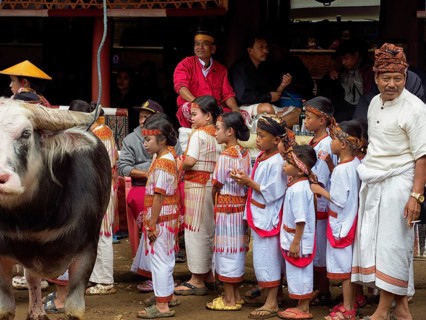 Children in traditional festive dress, funeral ceremony, Tana Toraja, Sulawesi, Indonesia, Asia