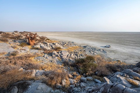 African baobab or baobab tree (Adansonia digitata), between round rocks, at sunrise, with salt pan,