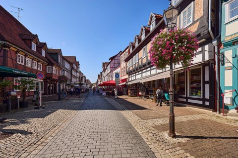 Pedestrian zone, half-timbered houses, lantern, flower decoration, garden petunia (Petunia ×