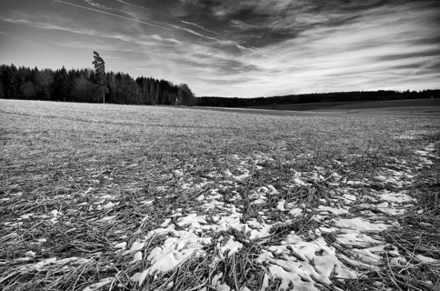 Last snow on field, high stand, black and white, Weiherwiesen nature reserve, Essingen, Swabian