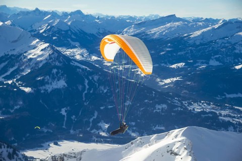 Paraglider, Nebelhorn, 2224m, near Oberstdorf, Allgaeuer Alps, Allgaeu, Bavaria, Germany, Europe