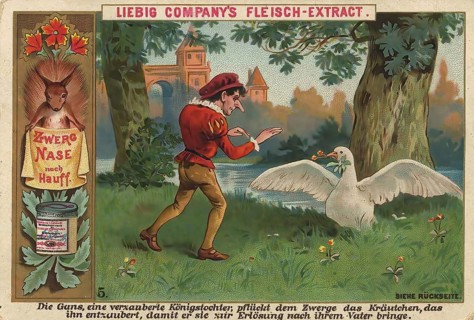 Picture series Dwarf Nose, 5, The goose, an enchanted princess, picks the herb that disenchants the