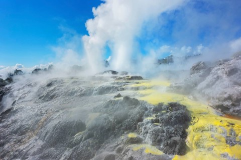 Prince of Wales and Pohutu geysers erupting, Te Puia Thermal Valley, Rotorua, Bay of Plenty, North