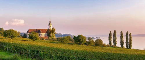 Baroque church with a view of the lake at sunset, surrounded by vineyards, Birnau pilgrimage church
