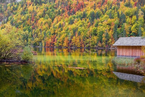 Lake Toplitz, forest in full autumn colors, Boatshelter, Austria, Europe
