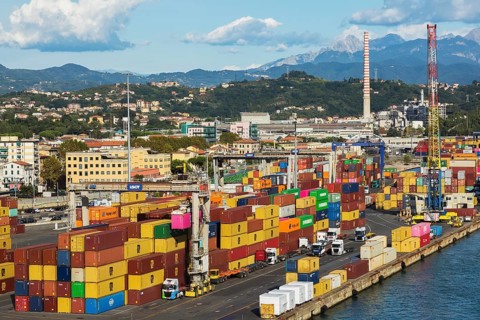 High angle view of rows of stacked rectangular metal box shipping containers and gantry cranes on