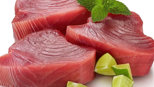 3 slices of raw tuna (thunnus), decorated with pieces of lime and mint leaves, studio shot