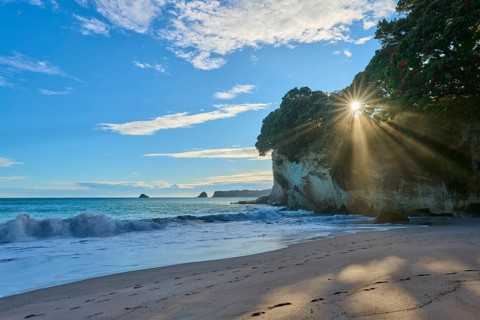 Sun breaking through trees on a rocky beach above gentle waves, Cathedral Cove, Coromandel,
