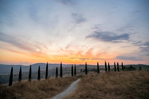 Typical Tuscan landscape in Crete Senesi with hills, trees, fields, cypresses and farm road in