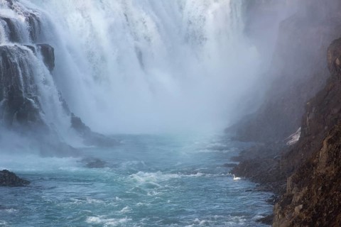Whooper swan (Cygnus cygnus) at the base of the Gullfoss waterfall