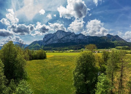 Spring flower meadow with Drachenwand, Mondseeland, Salzkammergut, Upper Austria, Austria, Europe