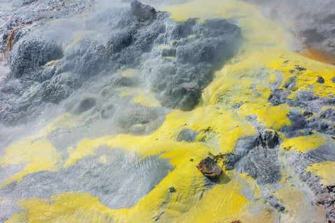 Volcanic terrain, Te Puia Thermal Valley, Rotorua, Bay of Plenty, North Island, New Zealand,